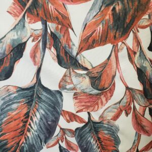 Cauca C 03 Cauca C 03