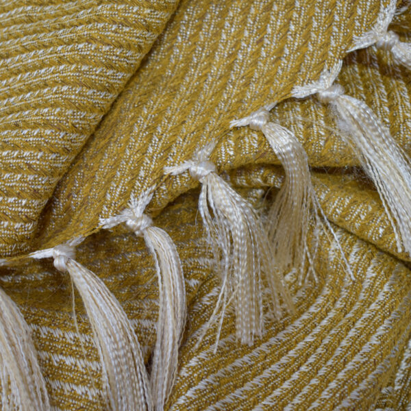 _DSC0306