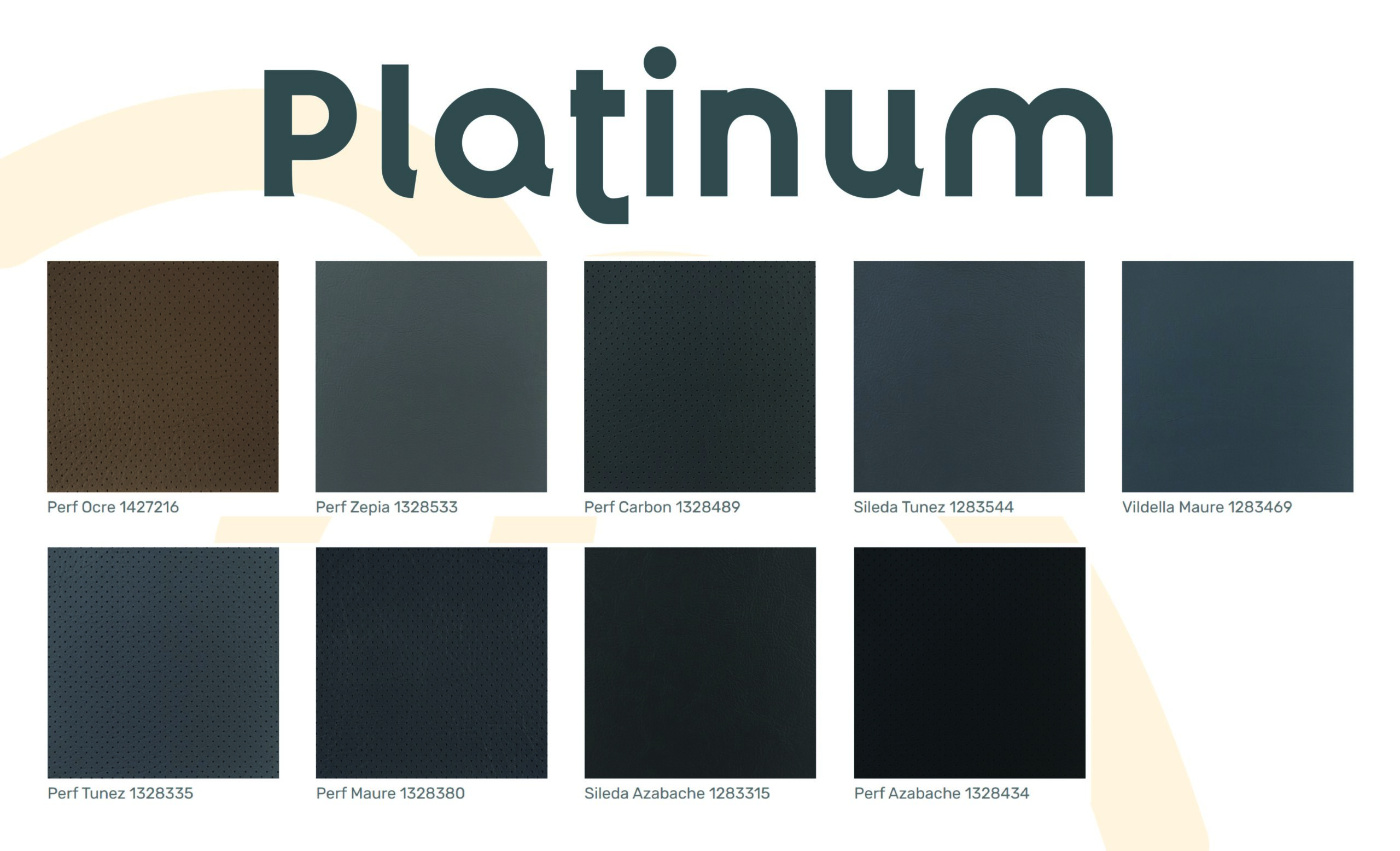Platinum_Mesa de trabajo 1
