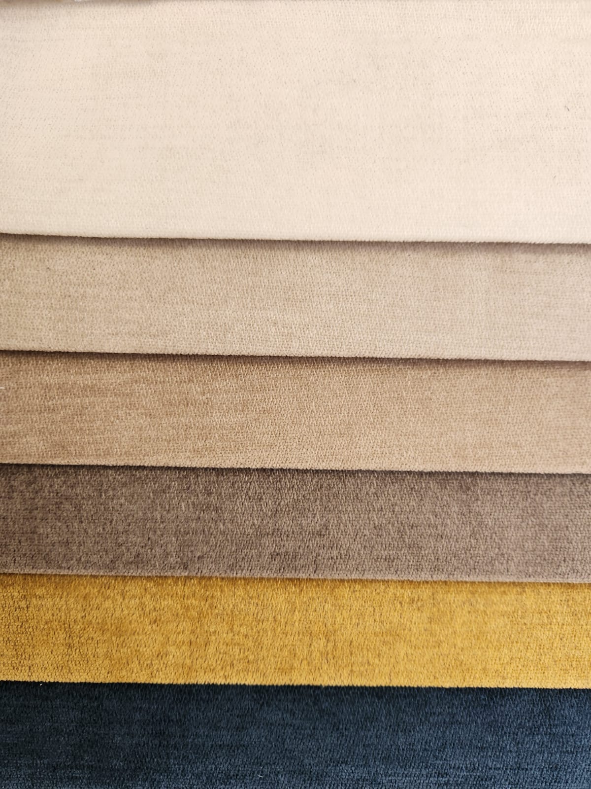Triumph (Marfil, Beige, Cocoa, Taupe, Mostaza, Azul)