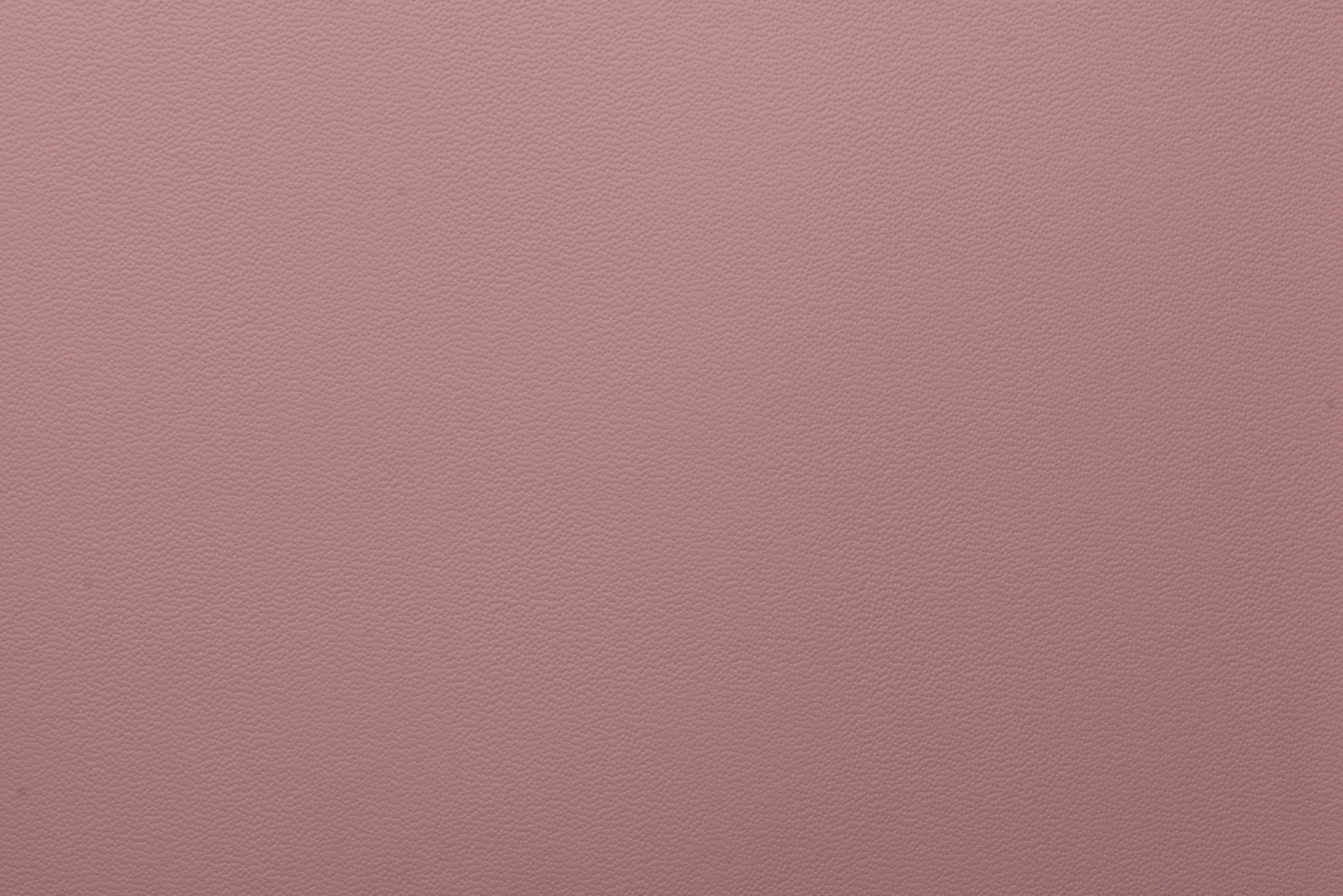 galapago-ultra__Rosa