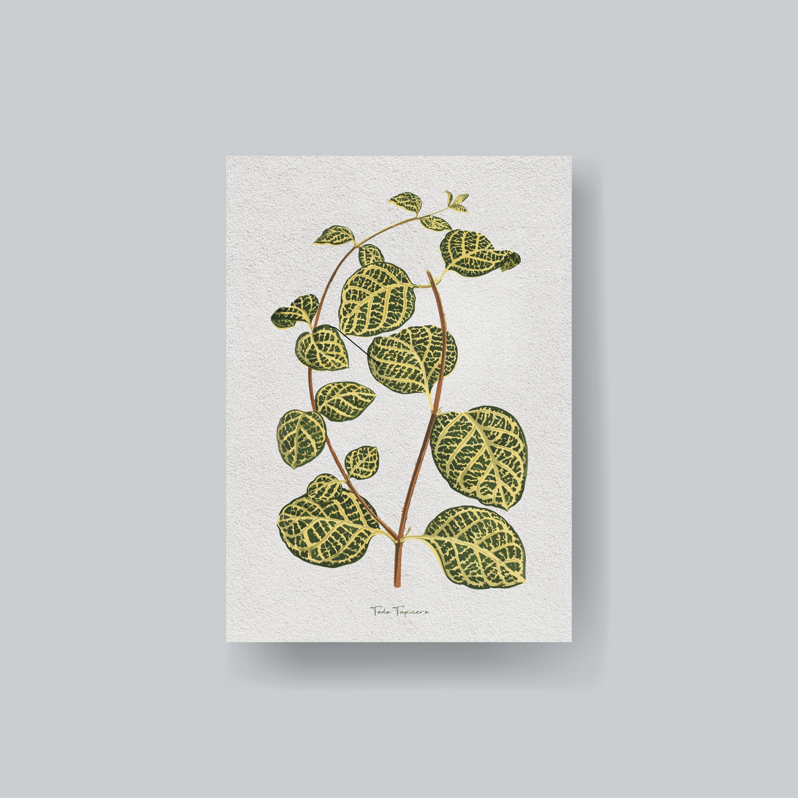 Blank paper brochure template mockup vector