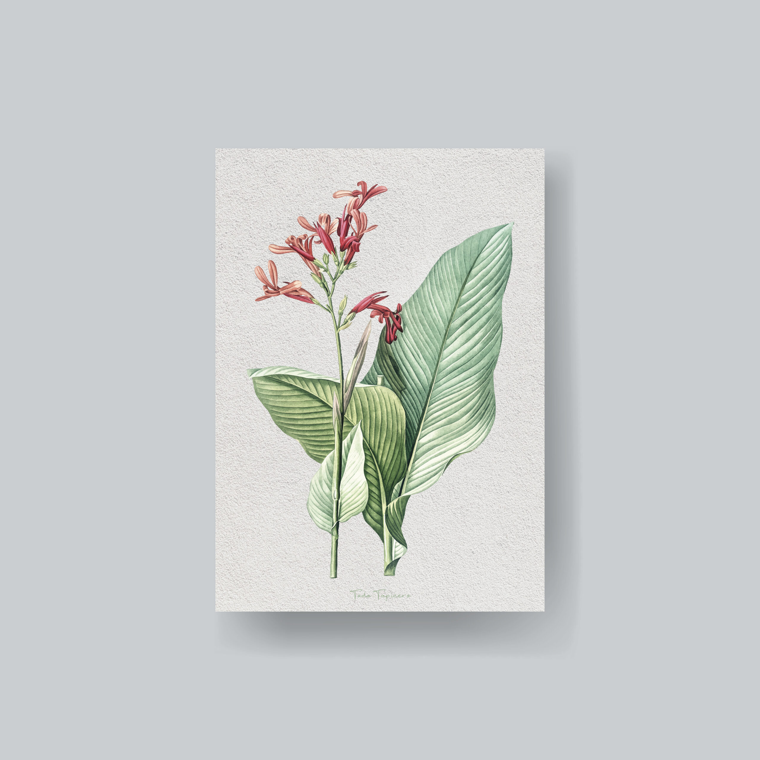 Blank paper brochure template mockup vector