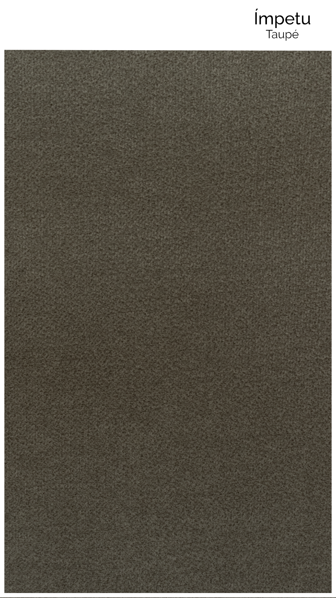 Impetu Taupe