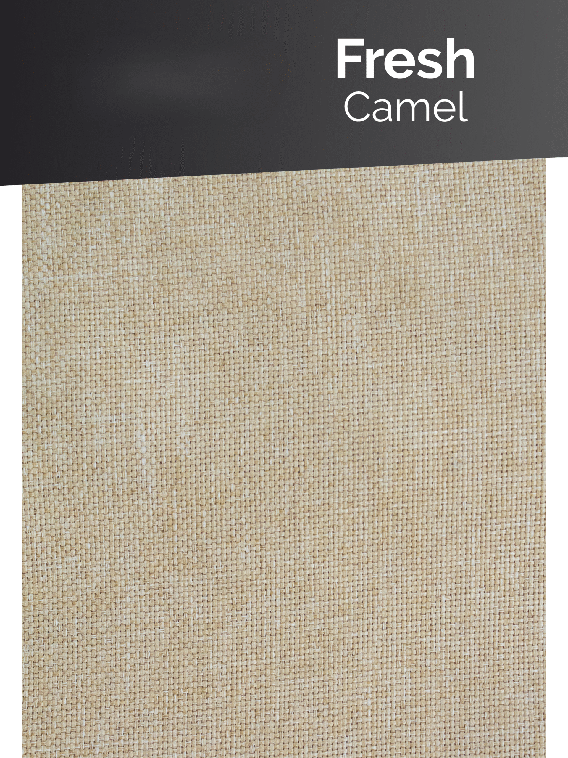 Fresh Camel