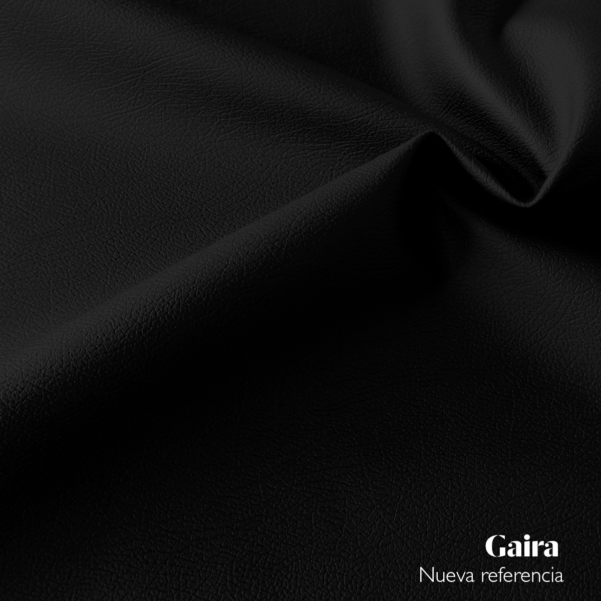 Gaira (1)