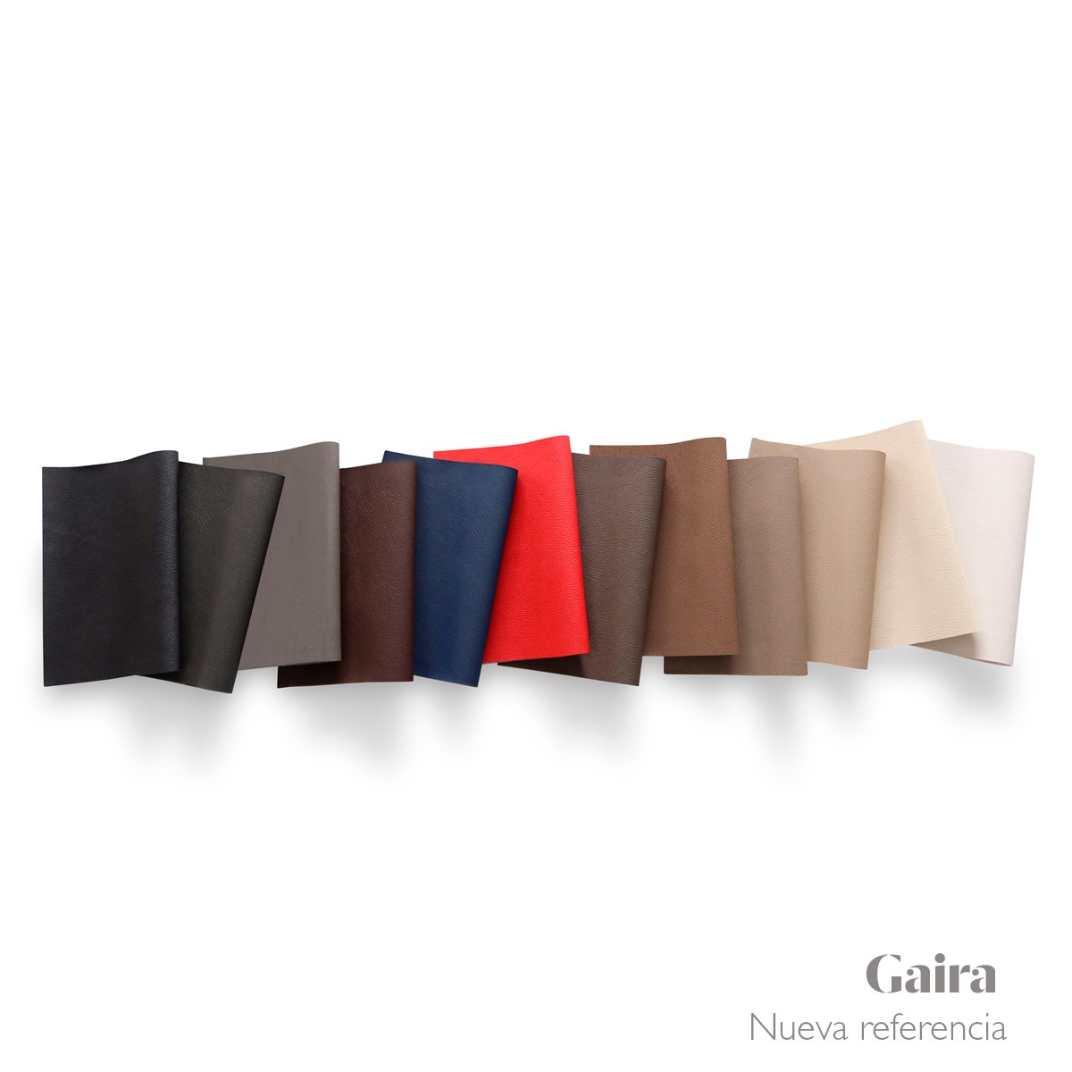 Gaira (3)