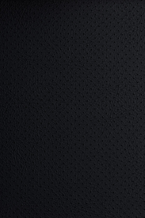 vinilcuero-jackson-pt-rf__Negro