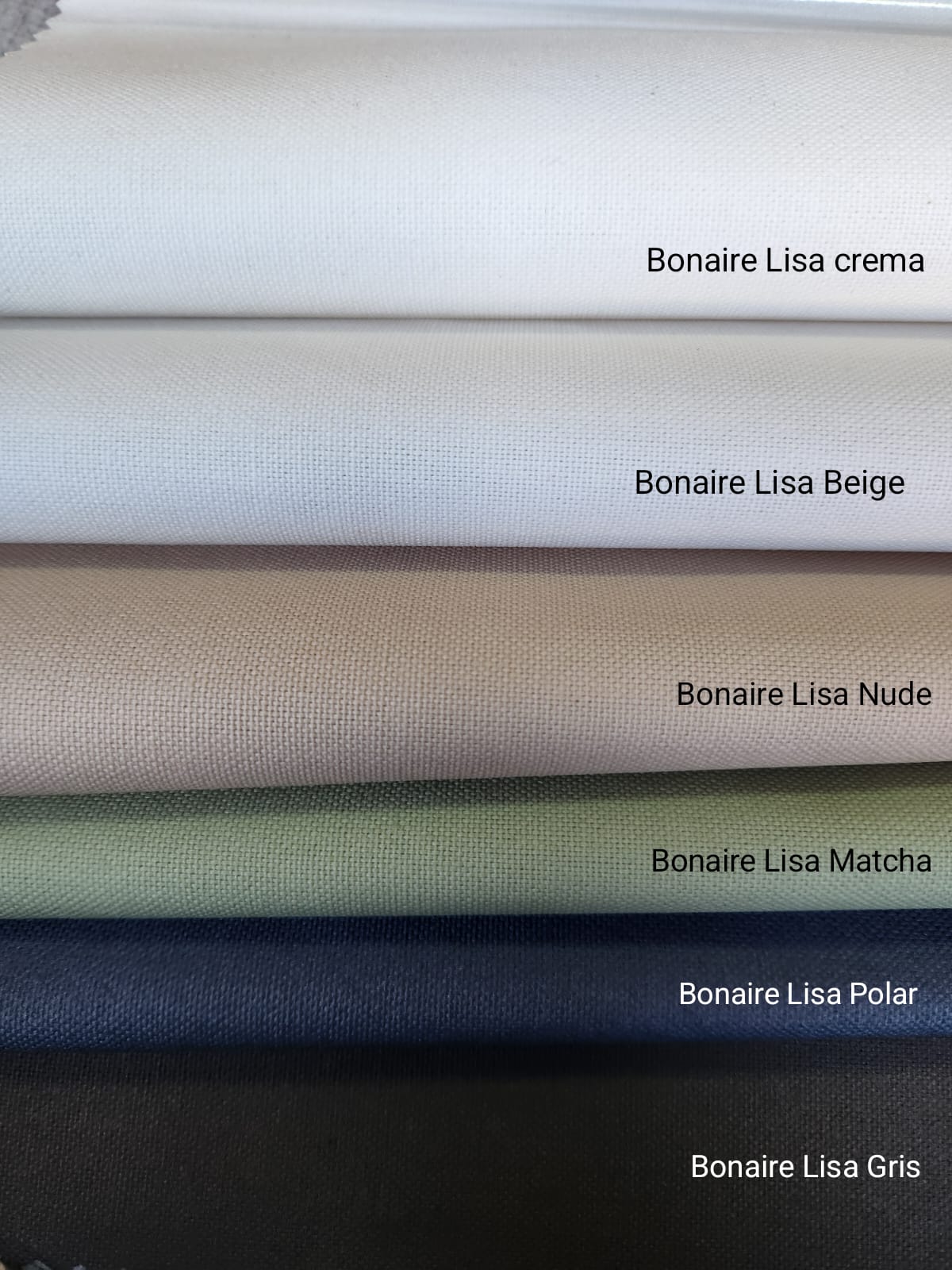 Bonaire liso