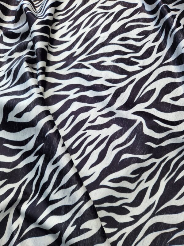 Zebra (3)