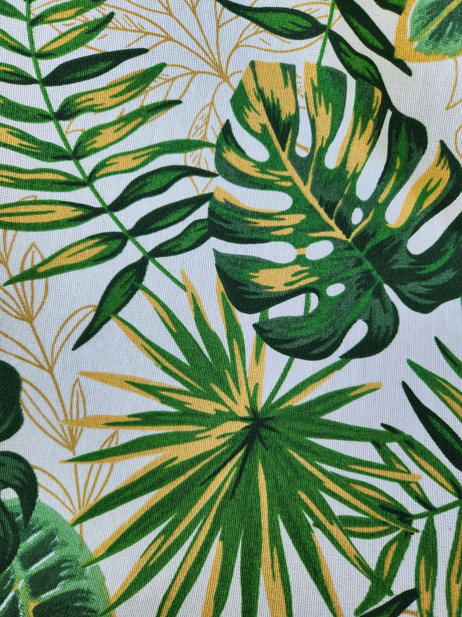 Belize 7 Verde (1)