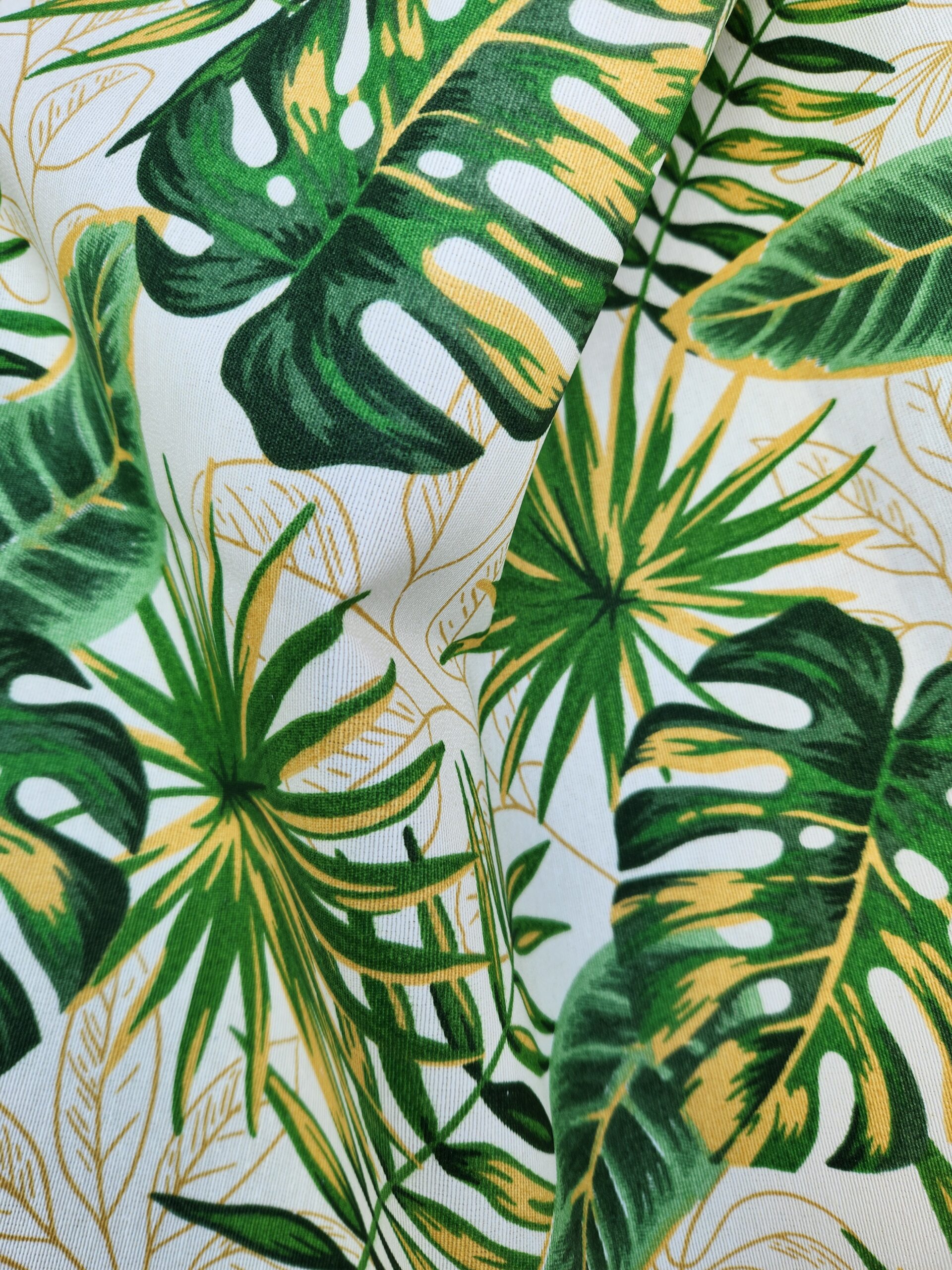 Belize 7 Verde (2)