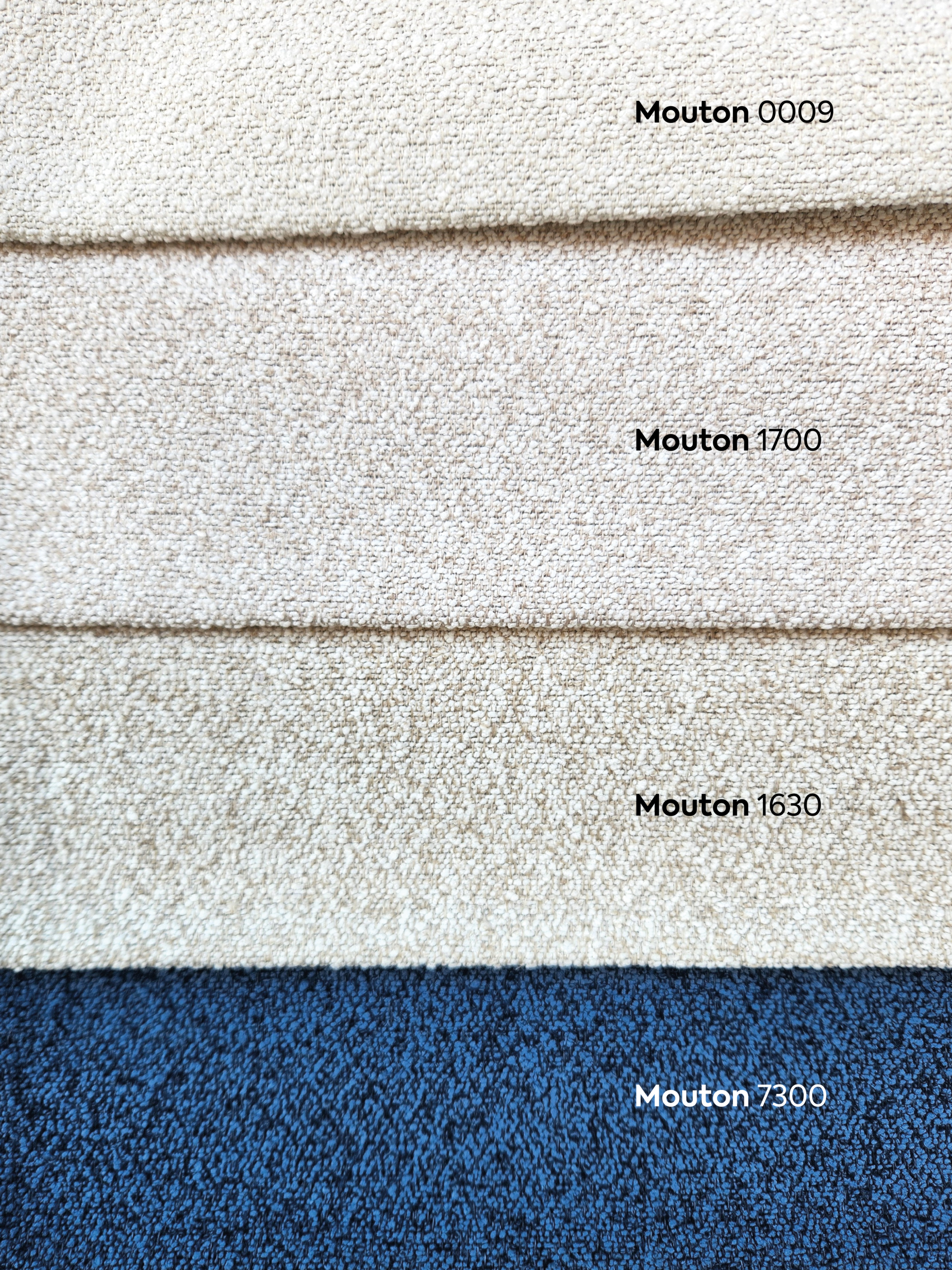 Mouton nombres_Mesa de trabajo 1