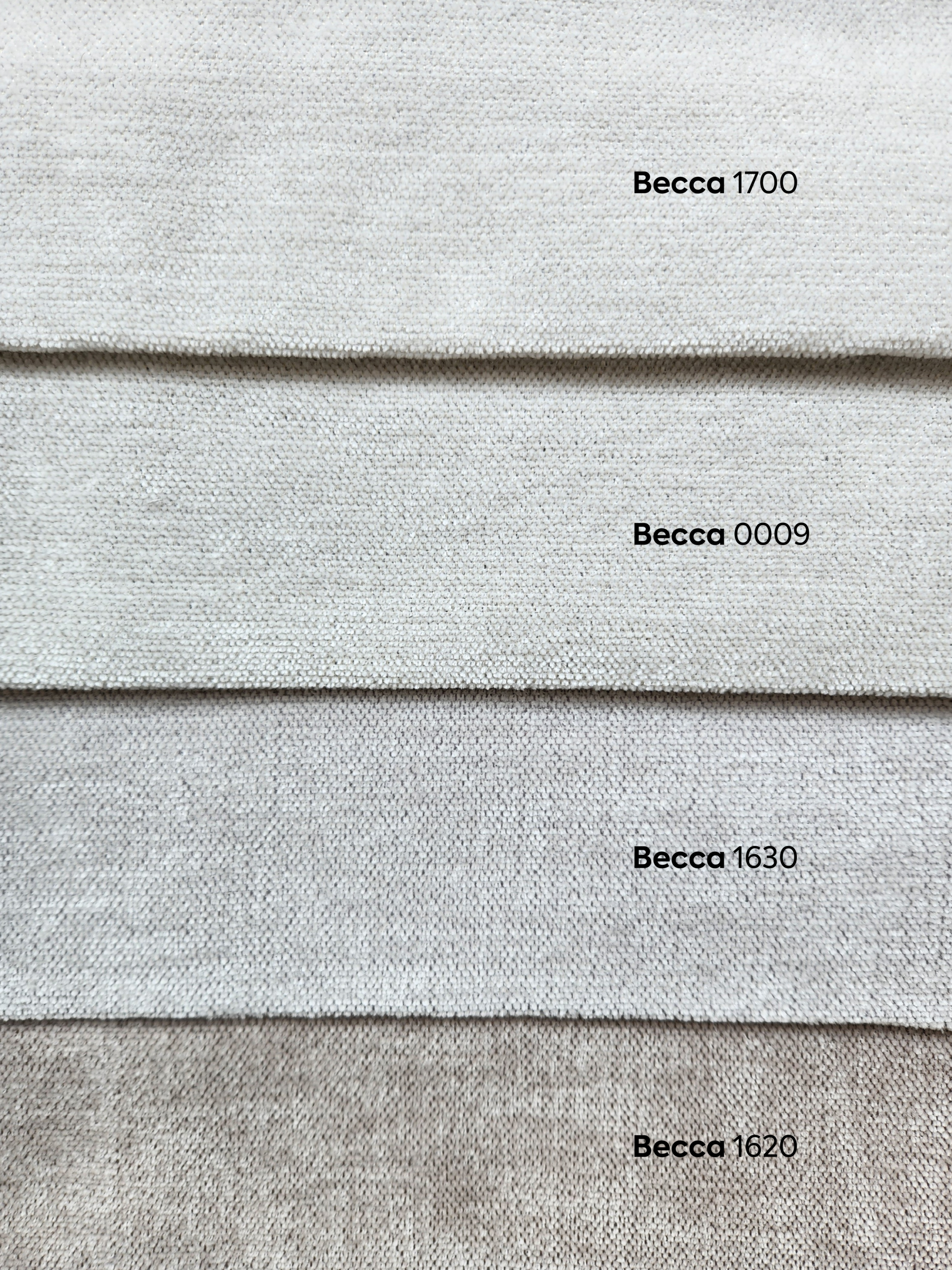 Becca nombres_Mesa de trabajo 1