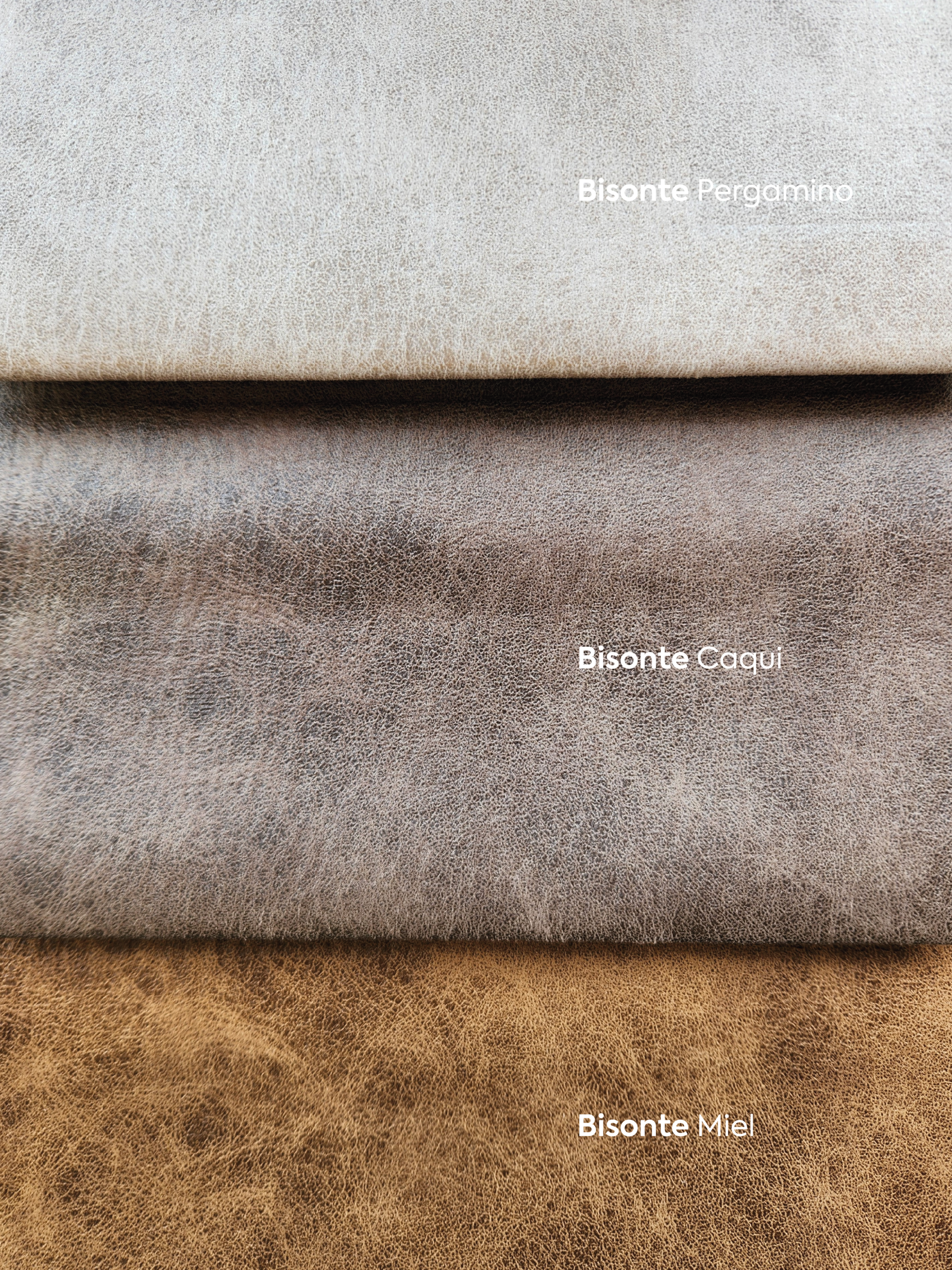 biss nombres_Mesa de trabajo 1