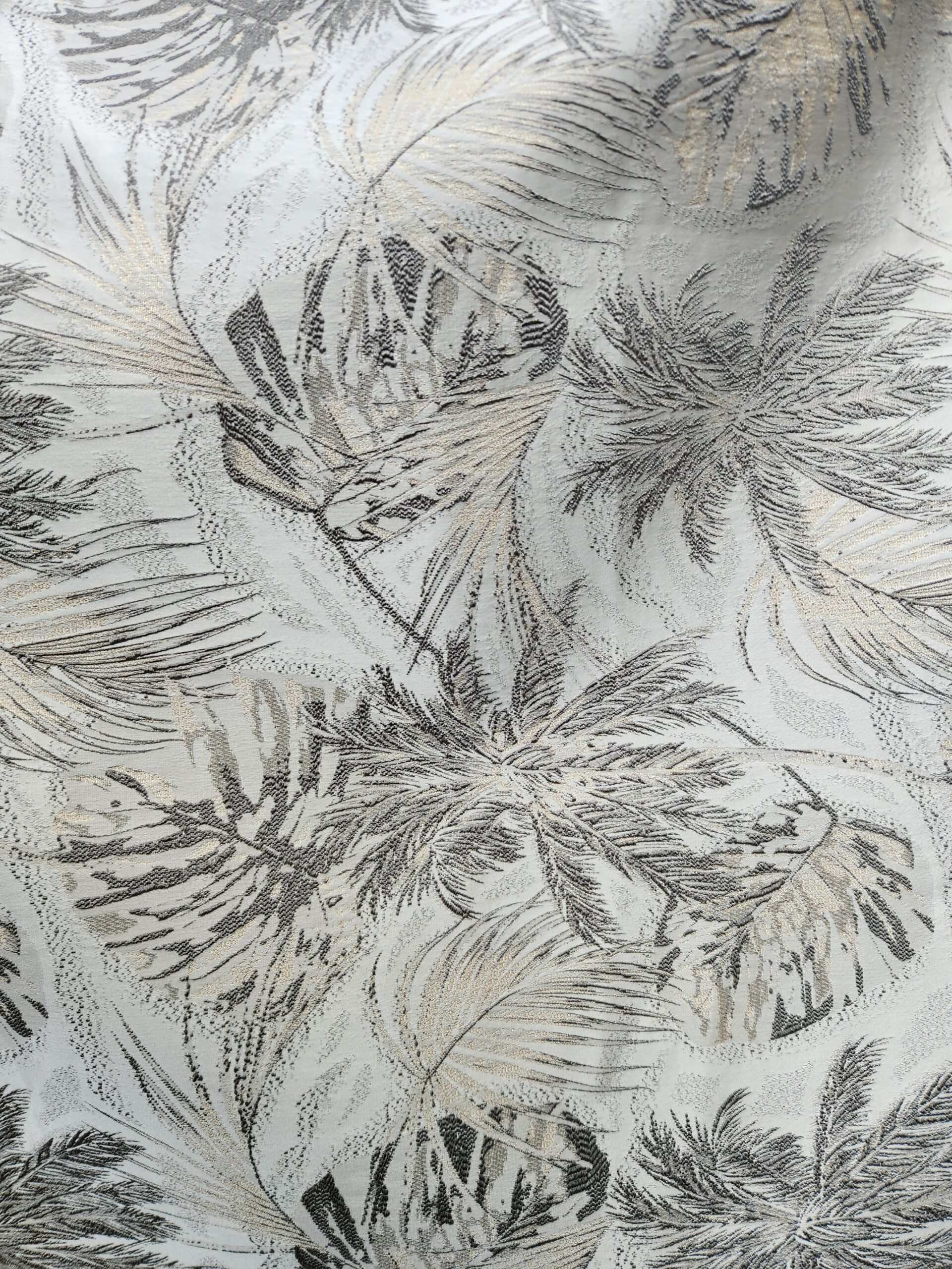 tesalia Hoja Plata (2)