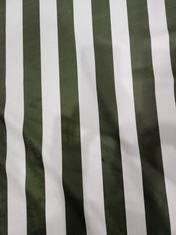 Raya 2 verde (10)