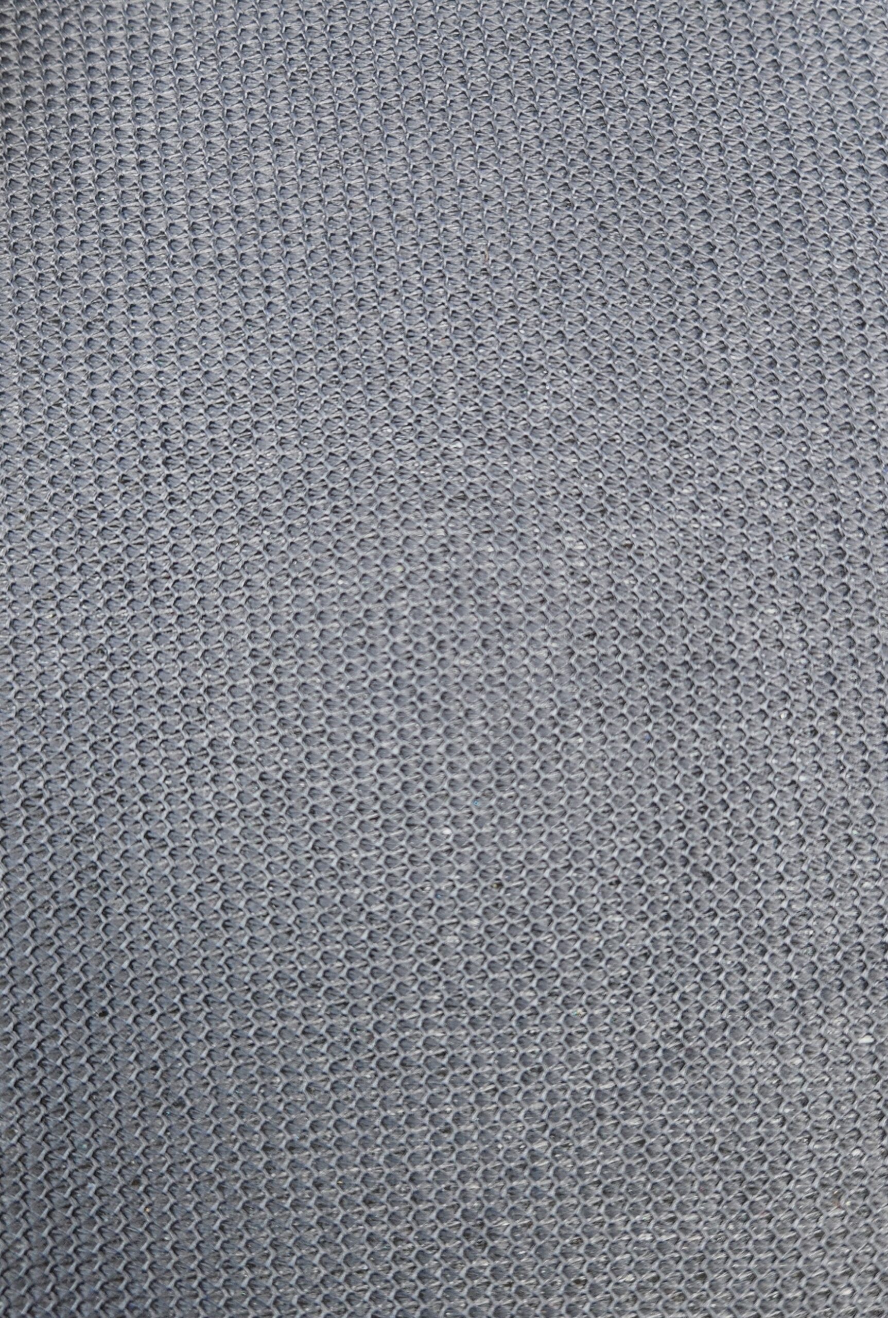 Tesla Gris2